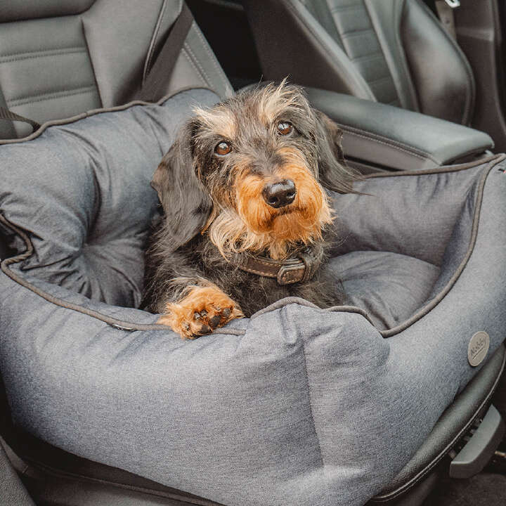 Nobby Autositz KADEK für Hunde